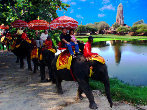 ayutthaya elephant camp